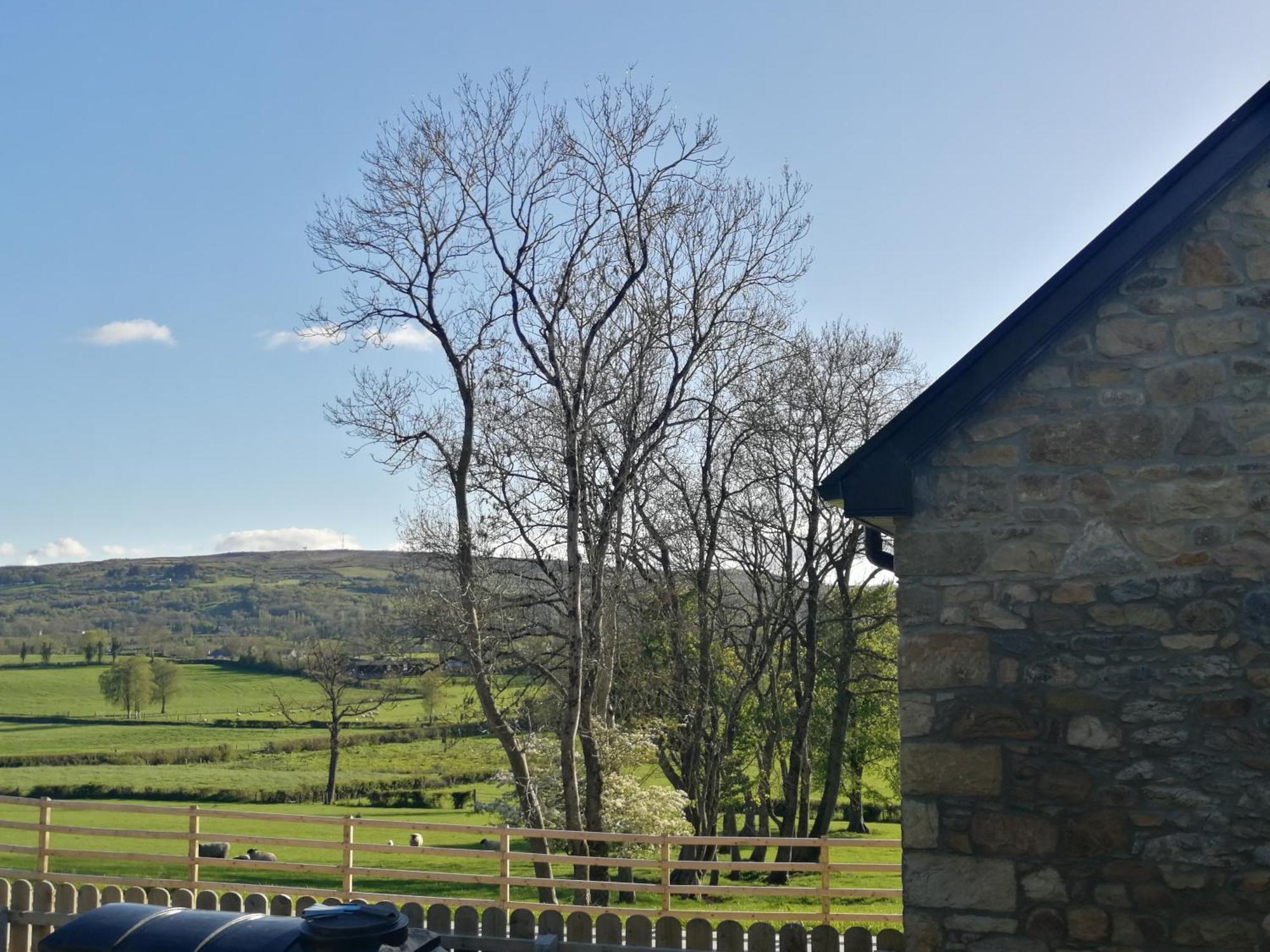 Knockninny Barn At Upper Lough Erne, County Fermanagh إيننيسكيلن المظهر الخارجي الصورة
