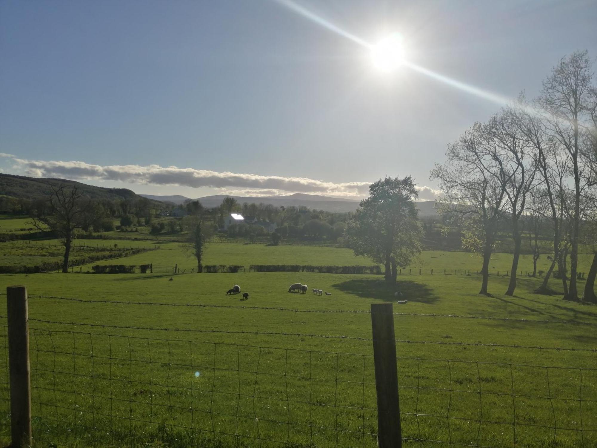 Knockninny Barn At Upper Lough Erne, County Fermanagh إيننيسكيلن المظهر الخارجي الصورة