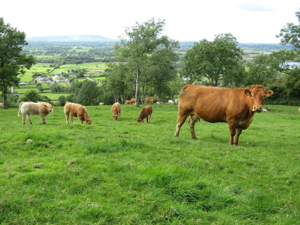 Knockninny Barn At Upper Lough Erne, County Fermanagh إيننيسكيلن المظهر الخارجي الصورة