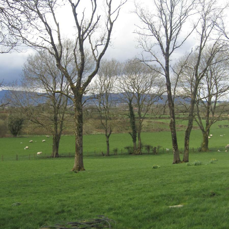 Knockninny Barn At Upper Lough Erne, County Fermanagh إيننيسكيلن المظهر الخارجي الصورة